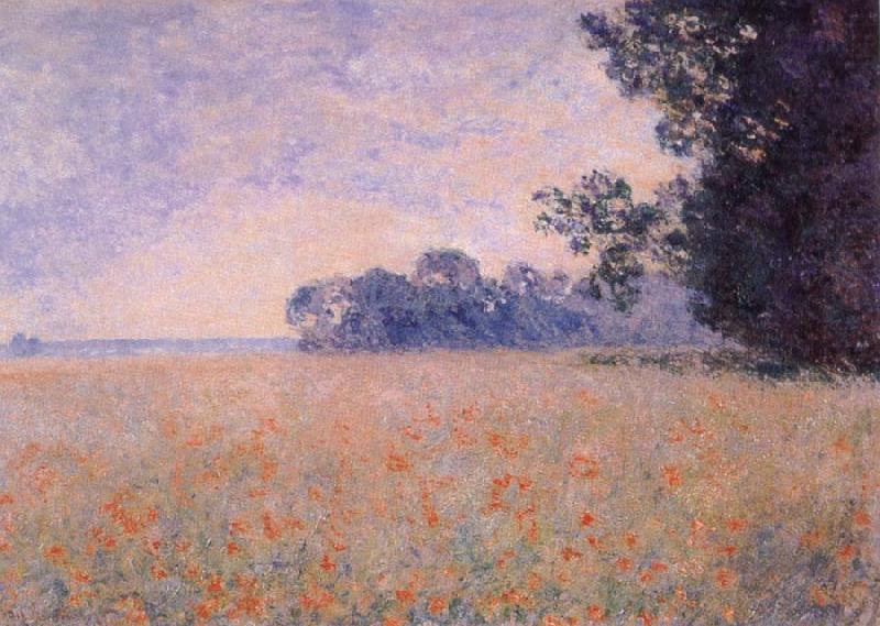 Claude Monet Oat and Poppy Field china oil painting image